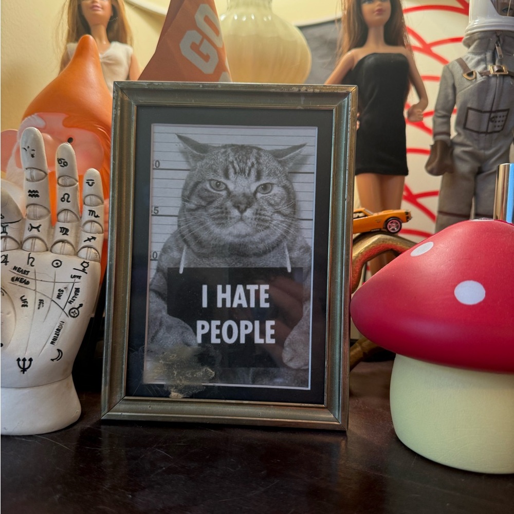 Framed Cat Mugshot Art